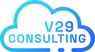 V29 Consulting Logo